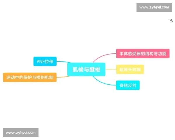 基于运动生理与训练数据的运动表现优化研究